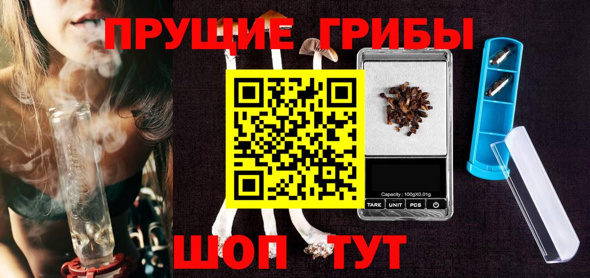Карачаевск  Псилоцибиновые грибы Psilocybine cubensis  Вход с VPN 
