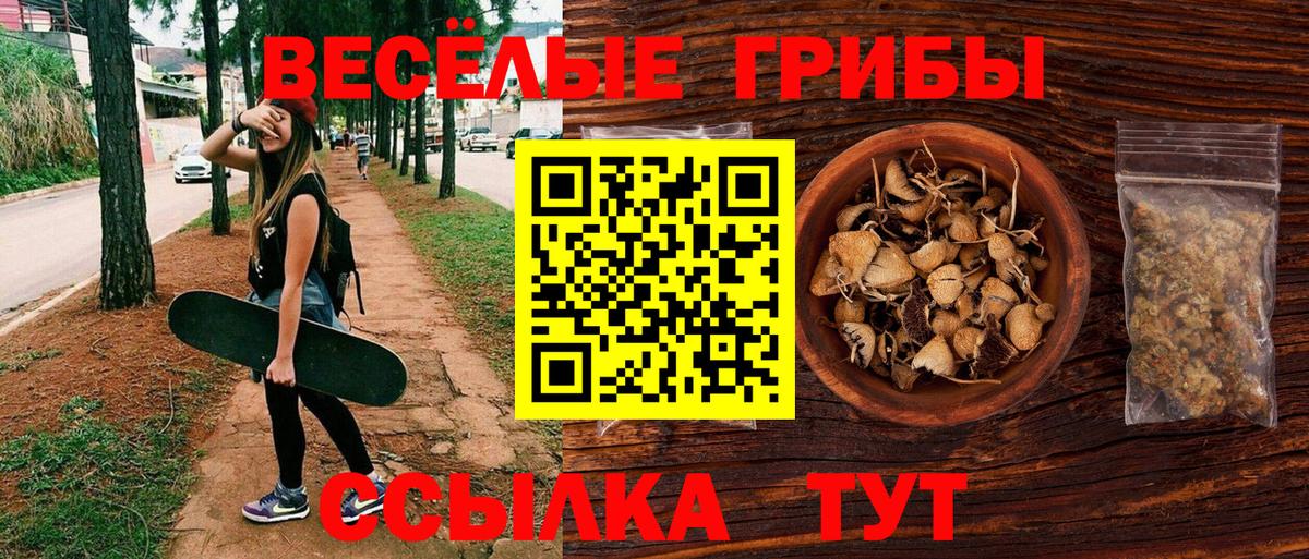 Псилоцибиновые грибы мухоморы Карачаевск